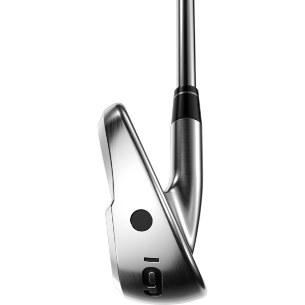 Callaway Apex Ti Fusion 250 Plated Herre Jernsæt - Silver